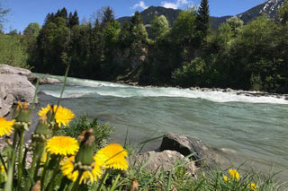 Fluß mit Blumen im Vordergrund